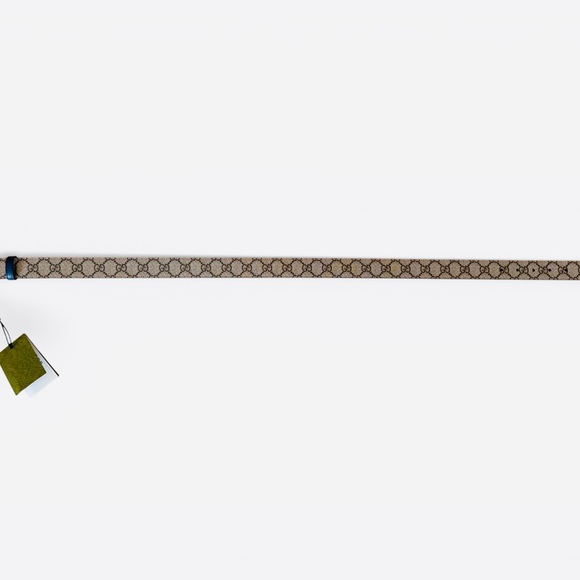 Gucci Brown and Blue Belt